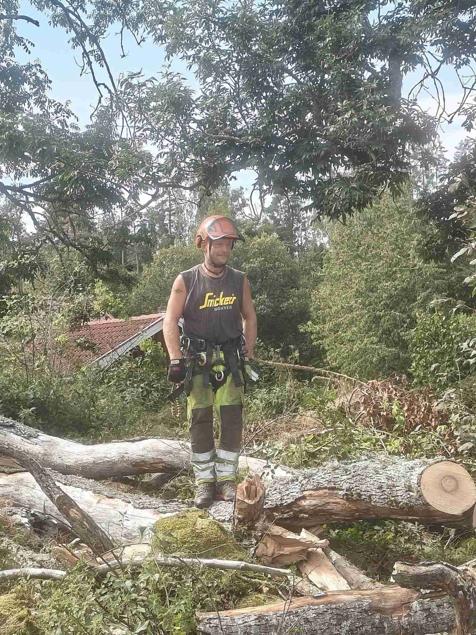 Din lokala arborist i Skattegården för Arborist